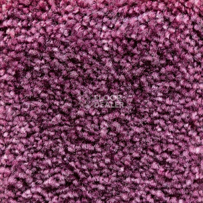 Ковролин AW Masquerade Gaudia 18 фото 1 | FLOORDEALER